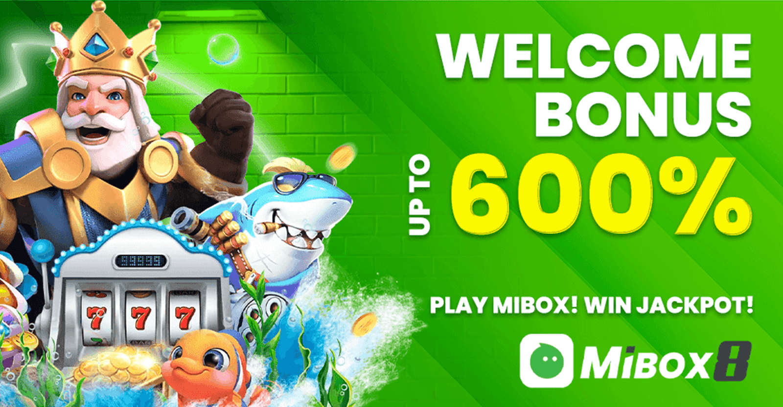 Mibox8 Trusted Brand